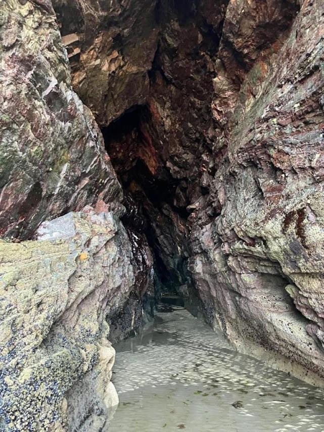 Ty Breizh Villa Saint-Nic Dış mekan fotoğraf